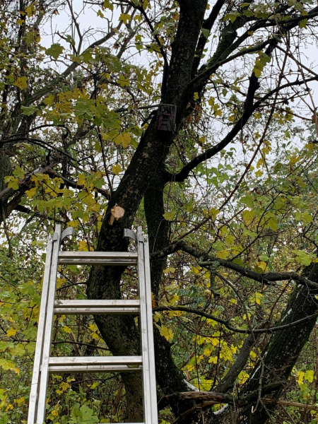 Fotopasce Obec Nitrianske Hrnčiarovce